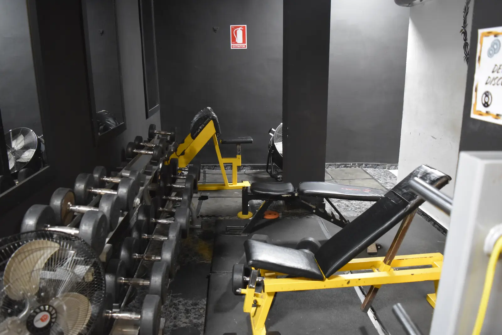 Zona de Musculación Completa